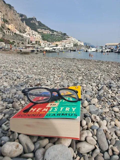 Lessons in Chemistry and my glasses on a pebble beach